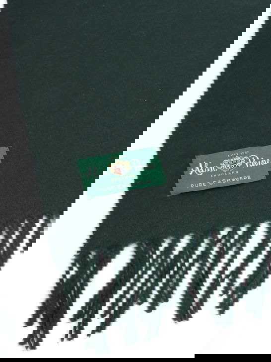 Alan Paine Sciarpa Alan Paine Risbury Cashmere Verde Novità